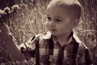 /album/fotok/a18573284420-4481251b25-o-jpg/